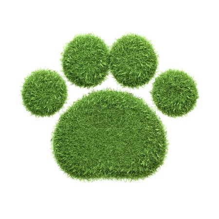 Ein Pfotendruck-Symbol in sattgrünem Gras isoliert auf weißem Hintergrund, das haustierfreundliche und umweltbewusste Räume oder Produkte symbolisiert. 3D-Darstellung