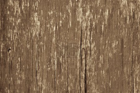 wooden background with brown peeling paint Poster 646524310