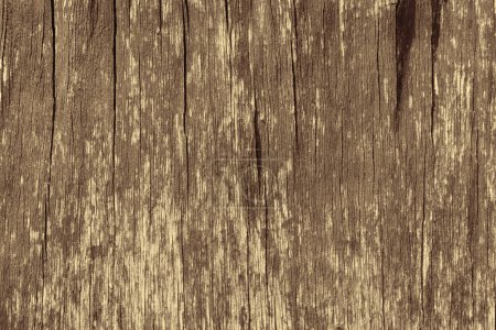 wooden background with brown peeling paint Poster 646524394
