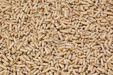 Photo for Close up on brown wood pellets granules. Ecology concept: alternative energy - Royalty Free Image