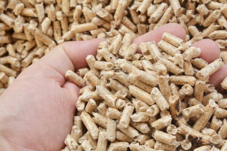 Photo for Close up on brown wood pellets granules in hand. Ecology concept: alternative energy - Royalty Free Image