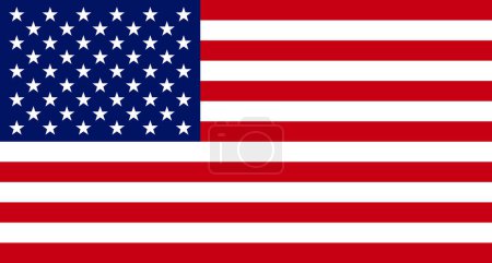 Illustration for Usa flag vector. illustration of united states flags - Royalty Free Image
