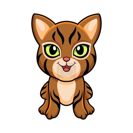 Illustration for Vector illustration of Cute pixie bob cat cartoon - Royalty Free Image