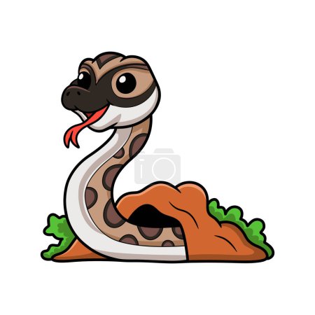 Illustration for Vector illustration of Cute python molurus bivittatus cartoon out from hole - Royalty Free Image
