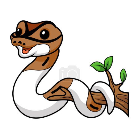 Illustration for Vector illustration of Cute pied ball python cartoon on tree branch - Royalty Free Image