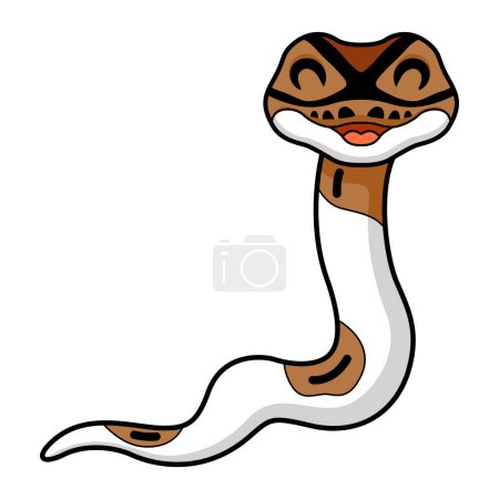 Illustration for Vector illustration of Cute pied ball python cartoon - Royalty Free Image
