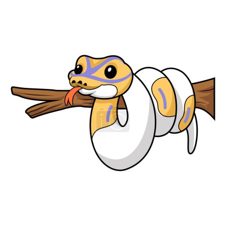 Illustration for Vector illustration of Cute banana pied ball python cartoon on tree branch - Royalty Free Image