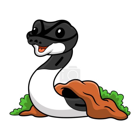 Ilustración de Ilustración vectorial de lindo panda pied ball python dibujos animados desde el agujero - Imagen libre de derechos