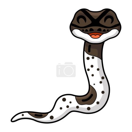 Illustration for Vector illustration of Cute oreo pied ball python cartoon - Royalty Free Image