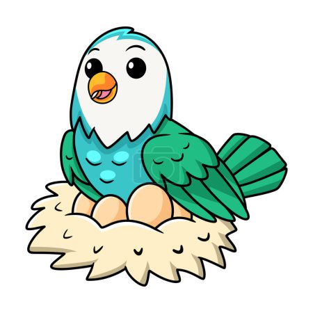 Illustration for Vector illustration of Cute blue turquoise bird cartoon with eggs in the nest - Royalty Free Image