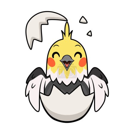 Illustration for Vector illustration of Cute gray cockatiel bird cartoon inside from egg - Royalty Free Image