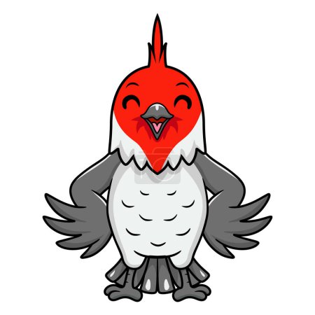 Illustration for Vector illustration of Cute red crested cardinal bird cartoon - Royalty Free Image