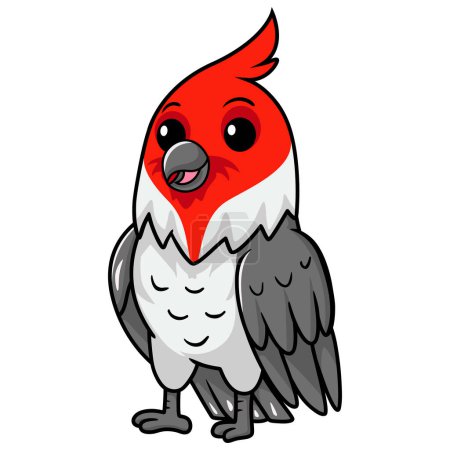 Illustration for Vector illustration of  Cute red crested cardinal bird cartoon - Royalty Free Image