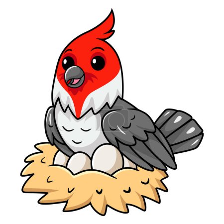 Illustration for Vector illustration of Cute red crested cardinal bird cartoon with eggs in the nest - Royalty Free Image