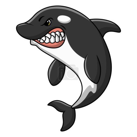 Ilustración de Ilustración vectorial de dibujos animados lindos de ballenas asesinas sobre fondo blanco - Imagen libre de derechos