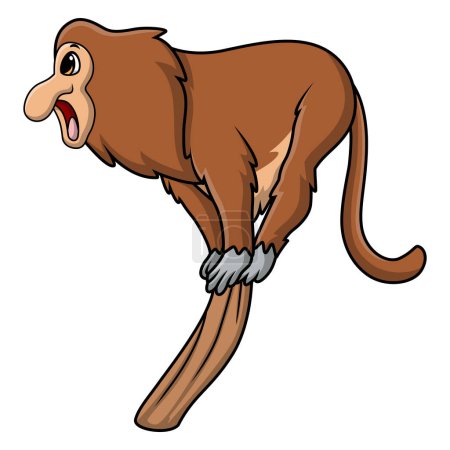 Téléchargez les illustrations : Illustration vectorielle de Mignonne proboscis singe dessin animé sur fond blanc - en licence libre de droit