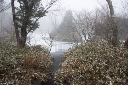 Foto de Ver paisaje y nieve cayendo cubierto de árboles de plantas en el bosque en el volcán Hanla Mountain o el Monte Halla en el Parque Nacional Hallasan para los coreanos visita de viaje en la isla de Jeju en Jeju-do, Corea del Sur - Imagen libre de derechos