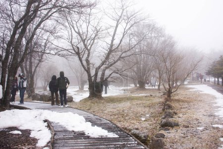 Foto de Los coreanos y los viajeros extranjeros visitan el jardín natural en el volcán Hanla Mountain o el Monte Halla en el Parque Nacional Hallasan, mientras que la nieve cae en la selva en la isla de Jeju en Jeju, Corea del Sur - Imagen libre de derechos