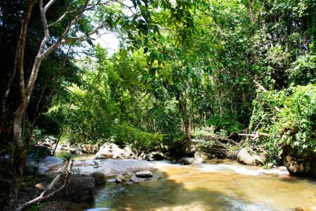 Téléchargez les photos : Namtok Khao Khram Cascades dans la forêt de jungle de montagne du parc national de Khao Pu Khao Ya pour les voyageurs thai voyage visite et repos détente jouer nager à la ville de Srinakarin dans Phatthalung Thaïlande - en image libre de droit