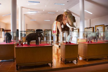 Photo for Interior building of Elephants museum and Taxidermy animal for thai people travelers travel visit Ban Ta Klang or Taklang Elephant Village Study Centre at Tha Tum on January 5, 2024 in Surin, Thailand - Royalty Free Image