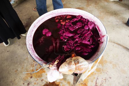 Artiste thaïlandais travaillant batik ikat et teinture cravate couleur rose naturelle de la gomme laque bouillante en atelier artisanal et atelier artisanal à Baan Phu Chuang à Ban Rai à Uthai Thani, Thaïlande