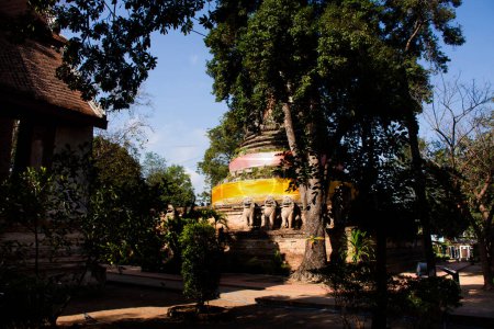 Ancient ruins stupa and antique old ruin pagoda chedi for thai people travelers visit respect praying blessing buddha wish mystical in Wat Mae Nang Pleum or Maenangpluem Temple in Ayutthaya, Thailand