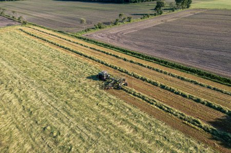 Téléchargez les photos : Récolte et séchage du foin. La faneuse tourne l'herbe fraîchement coupée. Photo de drone. - en image libre de droit