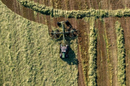 Téléchargez les photos : Récolte et séchage du foin. La faneuse tourne l'herbe fraîchement coupée. Photo de drone. - en image libre de droit