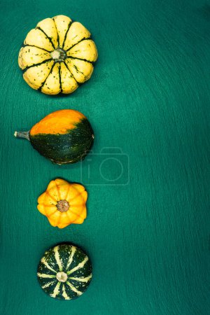 Téléchargez les photos : Citrouilles décoratives sur un fond vert. La récolte d'automne est prête pour Halloween. - en image libre de droit