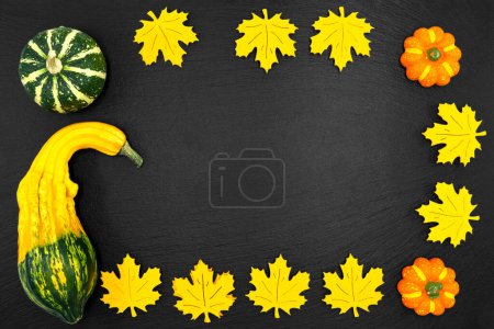 Téléchargez les photos : Citrouilles décoratives sur fond noir. La récolte d'automne est prête pour Halloween. - en image libre de droit