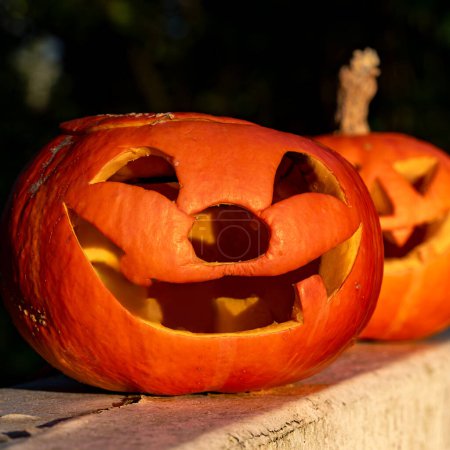 Téléchargez les photos : Design Halloween avec citrouilles. Bricolage citrouilles Halloween sur un fond naturel. - en image libre de droit