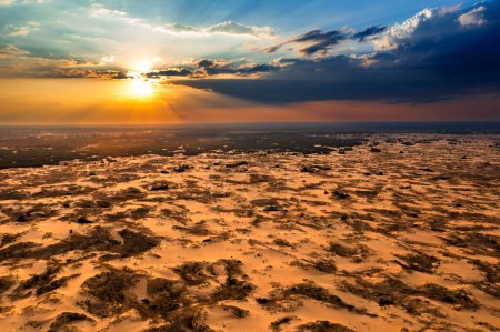 Téléchargez les photos : Un parc désertique unique au coucher du soleil. Ukraine, Parc naturel national des sables d'Oleshky dans les rayons du soleil couchant. - en image libre de droit