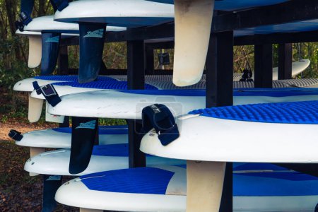 Téléchargez les photos : Location de planches de surf. Les planches de surf sont installées et prêtes à la location. - en image libre de droit