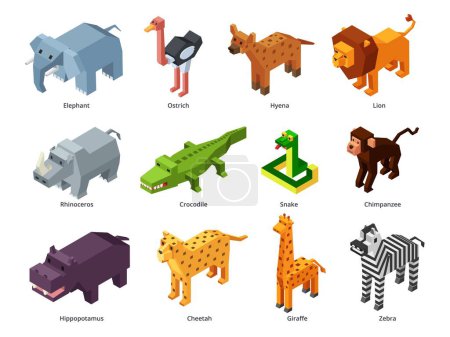 Illustration for Isometric african animals. Low poly zoo, polygonal alligator, lion and giraffe. Monkey, snake, elephant toy and zebra 3D game vector set of african isometric animal illustration - Royalty Free Image