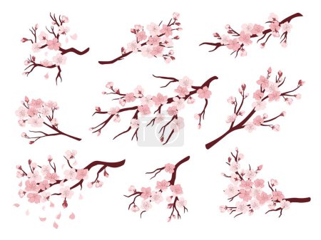 Illustration for Cherry blossom branches. Japanese blooming trees, sakura flowers spring decor vector illustration set. Natural asian symbol, pink floral blossom, seasonal beautiful plant, garden elements - Royalty Free Image