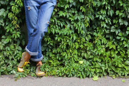 Photo for Model in denim pants. Legs. Sport shoes. near a wall overgrown with climbing plants. Background with plant leaves - Royalty Free Image
