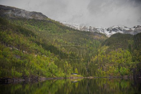 Schneegipfel in den Fjorden Norwegens
