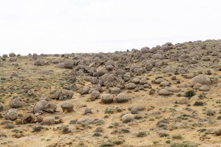 Bolas de piedra en el valle de Torysh en Aktau, al oeste de Kazajstán. Concreciones en la meseta de Ustyurt en la región de Aktau.