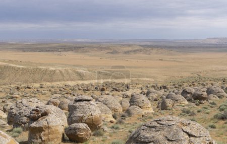 Boules de pierre dans la vallée de Torysh à Aktau, Kazakhstan occidental. Concretions sur le plateau de l'Ustyurt dans la région d'Aktau.