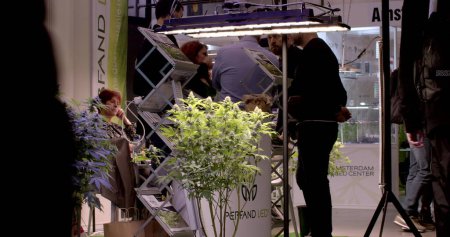 Téléchargez les photos : Stand with lighting equipment at popular international cannabis industry event. Gardening under grow lights. 5.11.2023 Letnany, Prague, CZ - en image libre de droit