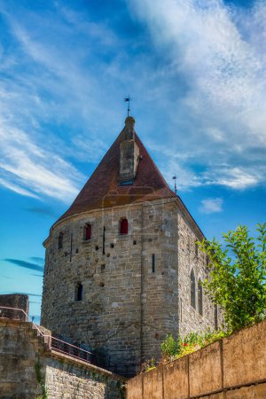 Téléchargez les photos : Carcassonne, ville perchée dans le Languedoc, est célèbre pour sa citadelle médiévale. - en image libre de droit