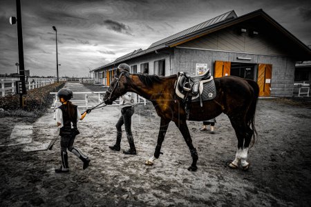 Téléchargez les photos : Image du club d'équitation. Lieu de tournage : Sendai, préfecture de Miyagi - en image libre de droit