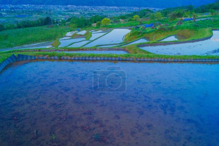 Foto de Campo de arroz abandonado por Uba. Ubicación del disparo: Prefectura de Nagano - Imagen libre de derechos