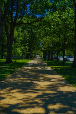 Bright green path. Shooting Location: Washington DC