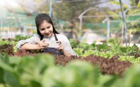 Téléchargez les photos : Image of asian female farmer in her hydroponic vegetable garden.. - en image libre de droit