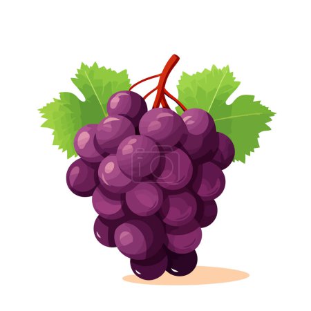 Téléchargez les illustrations : Icône de raisin isolé. Bouquet de raisins de cuve avec feuille. Image de raisin dans le design plat. Illustration vectorielle - en licence libre de droit