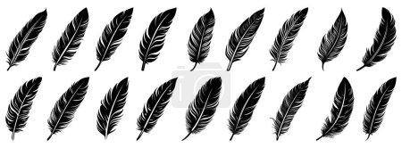 Photo for Feather black icon. Feather icons set. Various feathers. Vector illustration. - Royalty Free Image