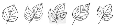Photo for Linear leaves. Set of leaf icons. Black outline leaves in flat style, isolated on a white background. Vector illustration. - Royalty Free Image