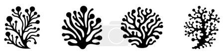 Photo for Seaweed icon. Set of black algae icons. Sea plants icon isolated on white background. Vector illustration - Royalty Free Image