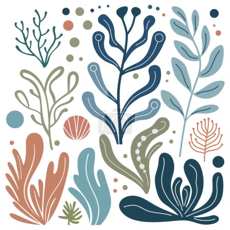 Photo for Seaweed icons set. Different cute colored algae. Sea plants icon isolated on white background. Vector illustration - Royalty Free Image